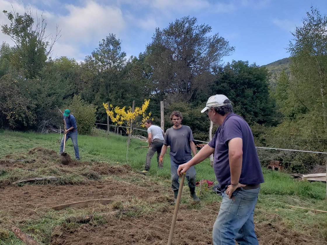 Quatre personnes retournent la terre à la fourche et au râteau sur une parcelle en herbe.
